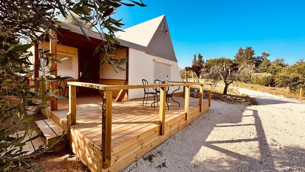 I Sicomori - Seme Di Carota - Glamping E Appartamenti Con Piscina A Сатурнія Екстер'єр фото
