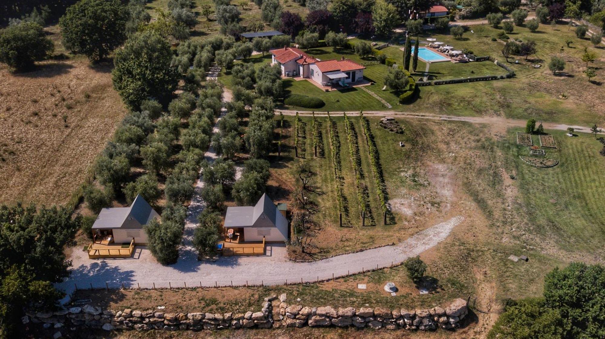 I Sicomori - Seme Di Carota - Glamping E Appartamenti Con Piscina A Сатурнія Екстер'єр фото