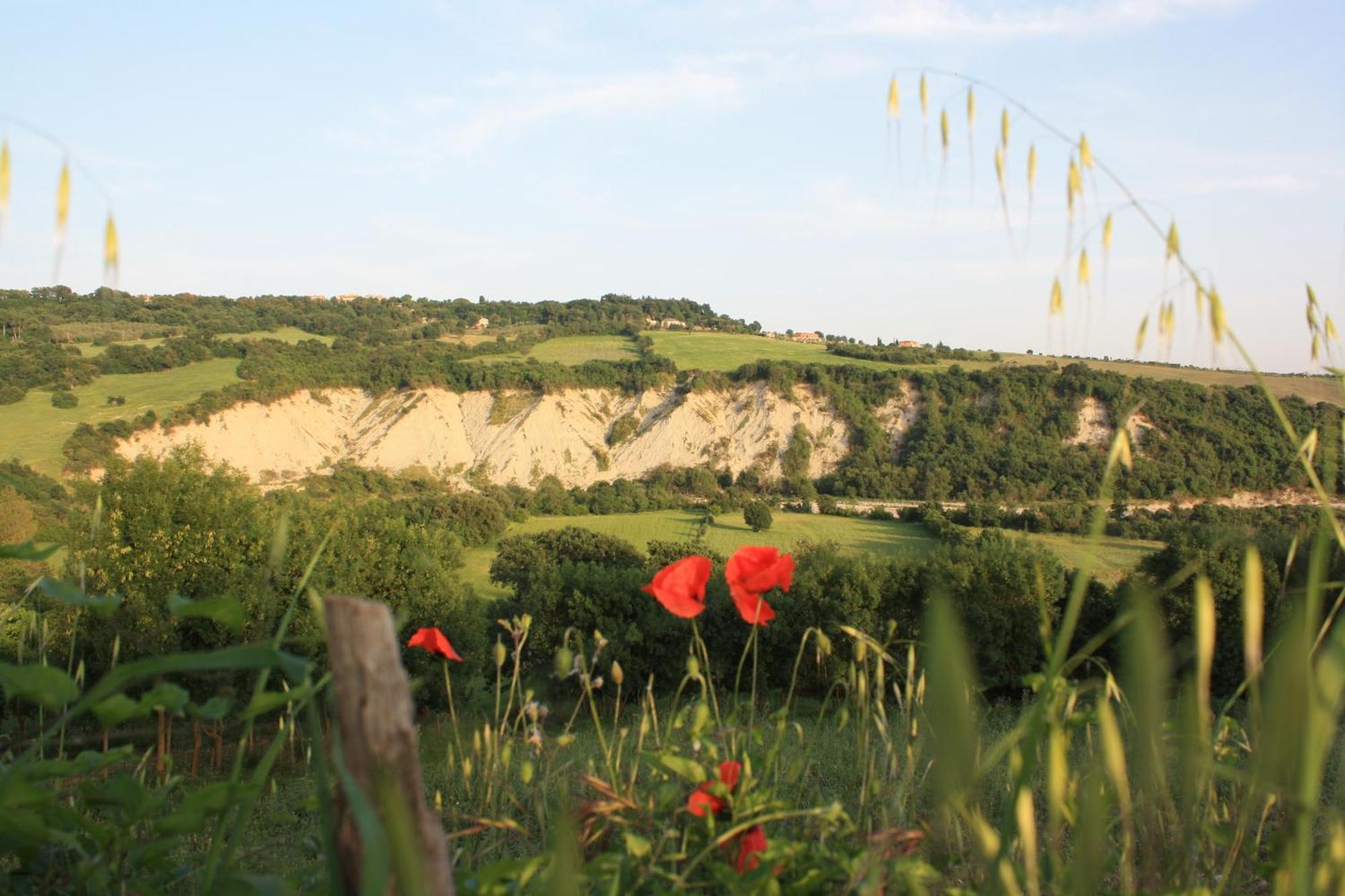 I Sicomori - Seme Di Carota - Glamping E Appartamenti Con Piscina A Сатурнія Екстер'єр фото
